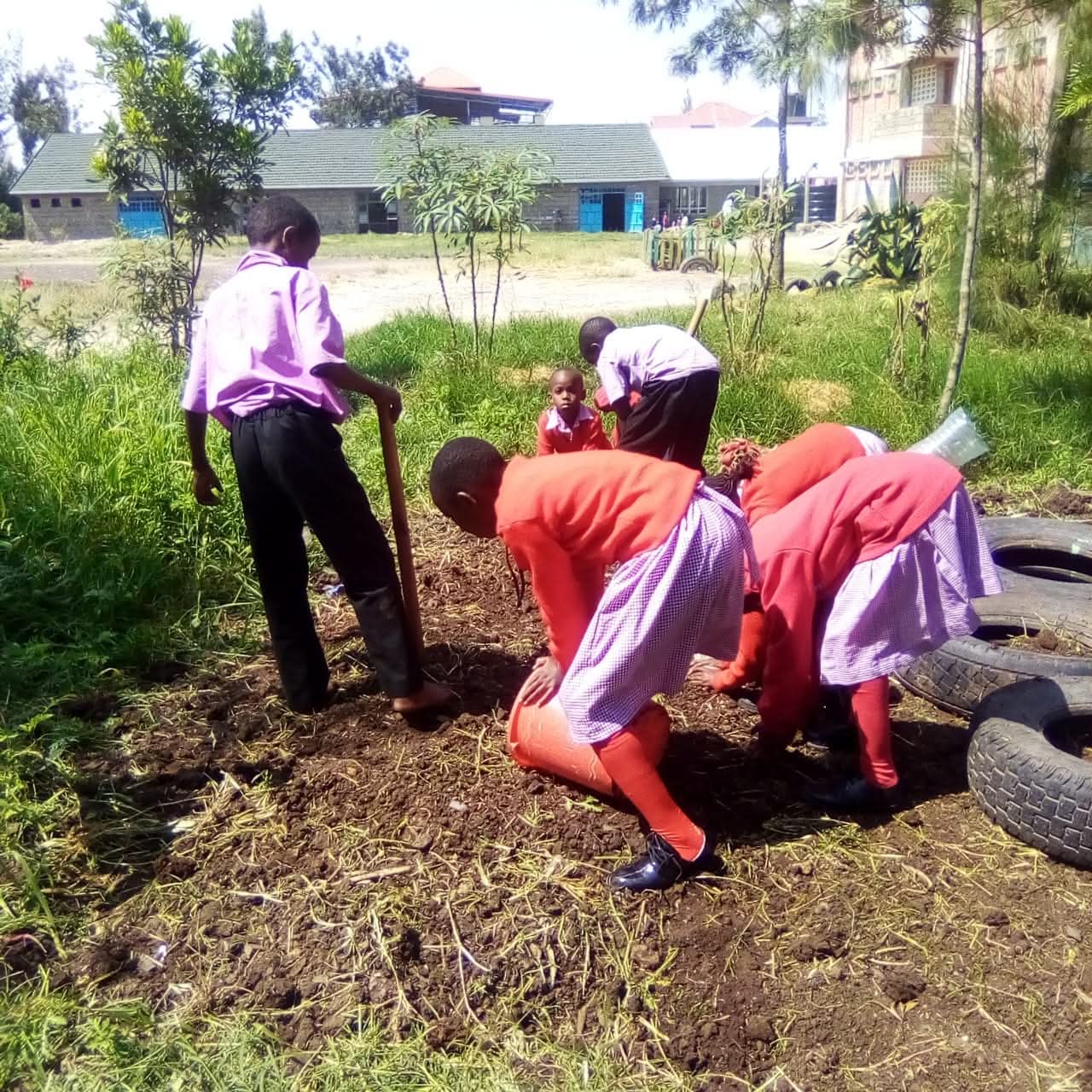 Children collecting water