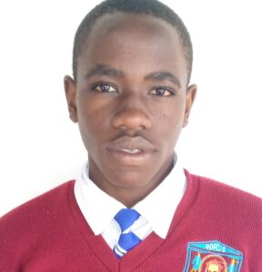 Emmanuel Mari Grade 8